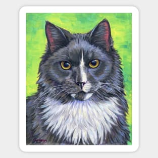 Gray and White Longhair Tuxedo Cat Sticker